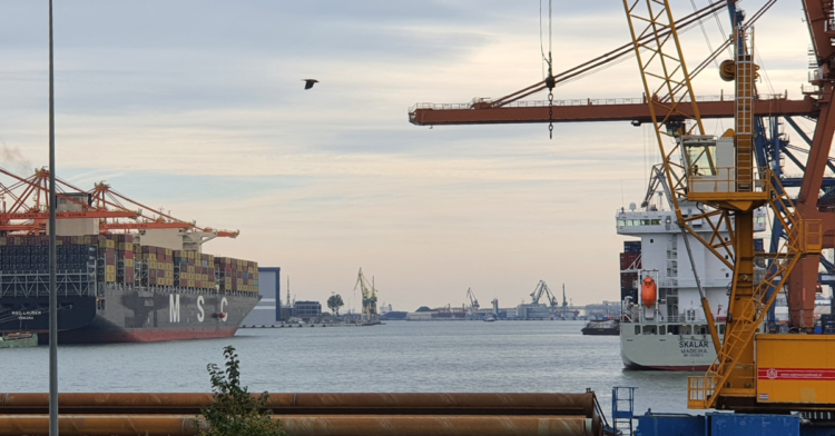 Port Gdynia